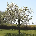 Teichgraf Vendégház