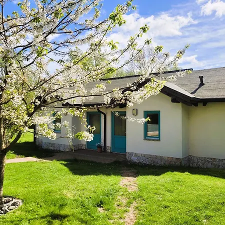 招待所 Teichgraf 沃尔加斯特